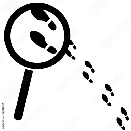 Searching for clues