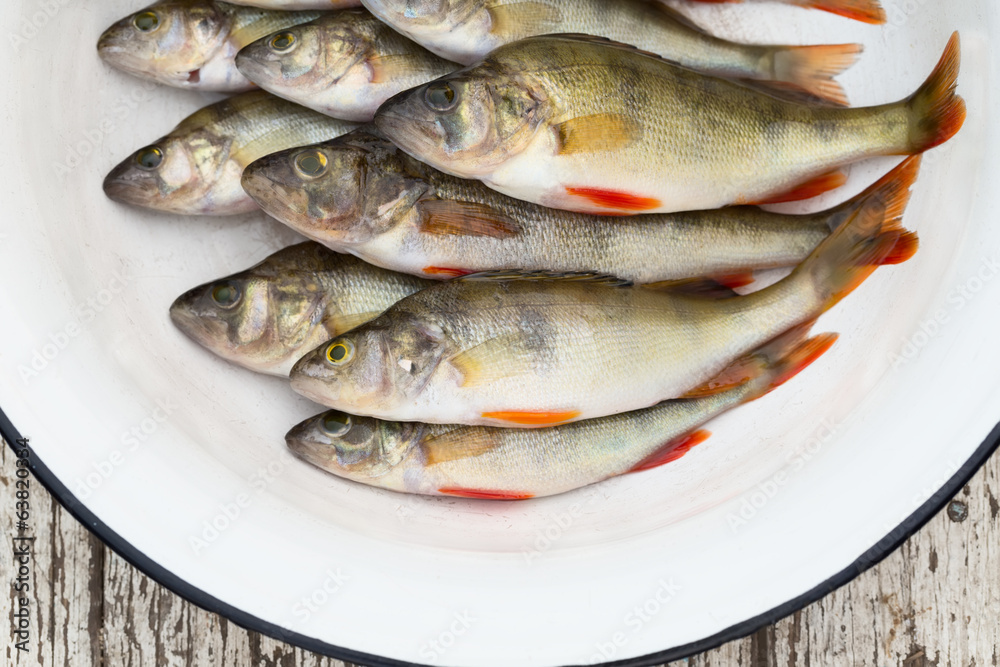 River perch in a white basin on the wooden stool