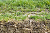 Dry soil texture below grass