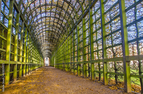 a garden tunnel in London, England