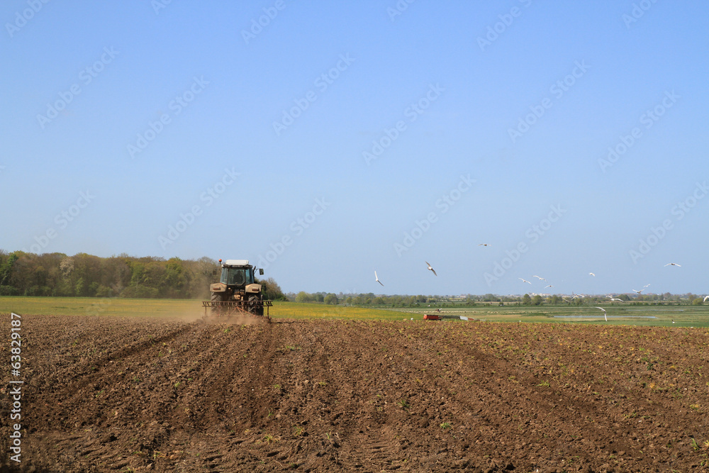 Fototapeta premium tracteur dans les champs