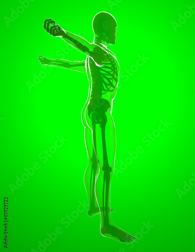 Corpo umano ai raggi x che si stira le braccia © Naeblys