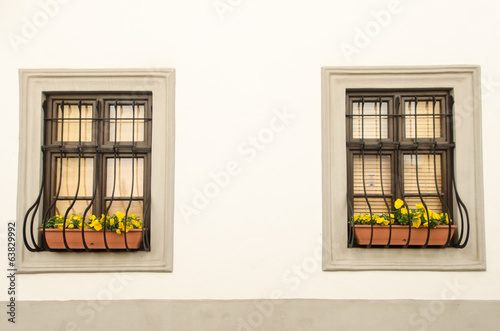 wall with window and flowers photo
