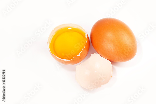 chicken egg