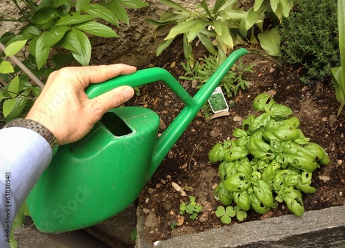Obraz na plátně giardinaggio: innafiare