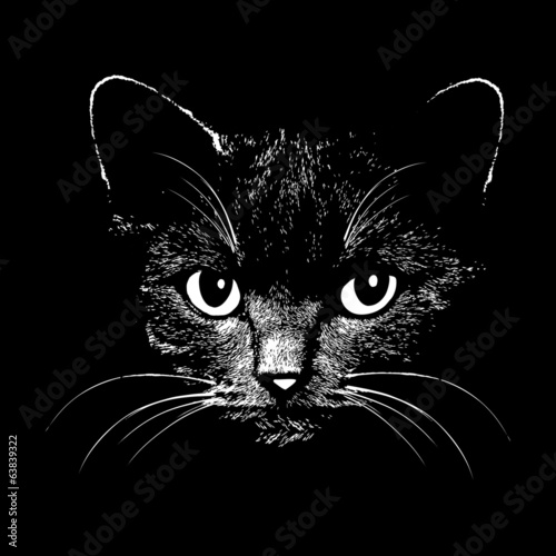 Vector illustration of cat head