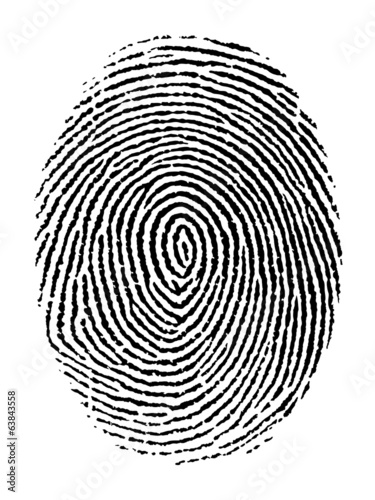Fingerprint vector