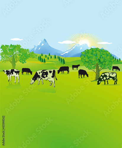 Berglandschaft mit schwarz, weißen Kühen