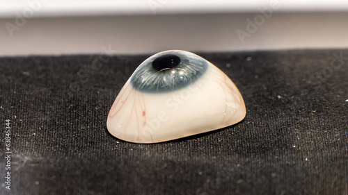 Glass eye prosthetic (Ocular prosthesis)