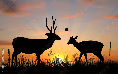 two deers at sunset illustration © Alexander Potapov