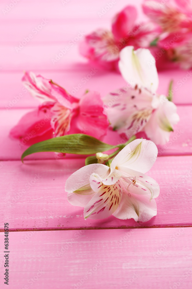 Beautiful Alstroemeria flowers on wooden table
