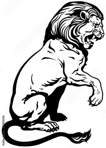 Fototapeta Naklejka Na Ścianę i Meble -  sitting lion black white