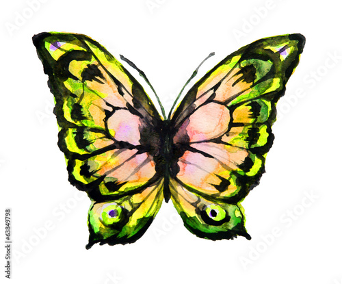 Obraz na płótnie projekt motyli