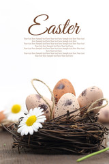 Easter decoration with brown eggs in the nest