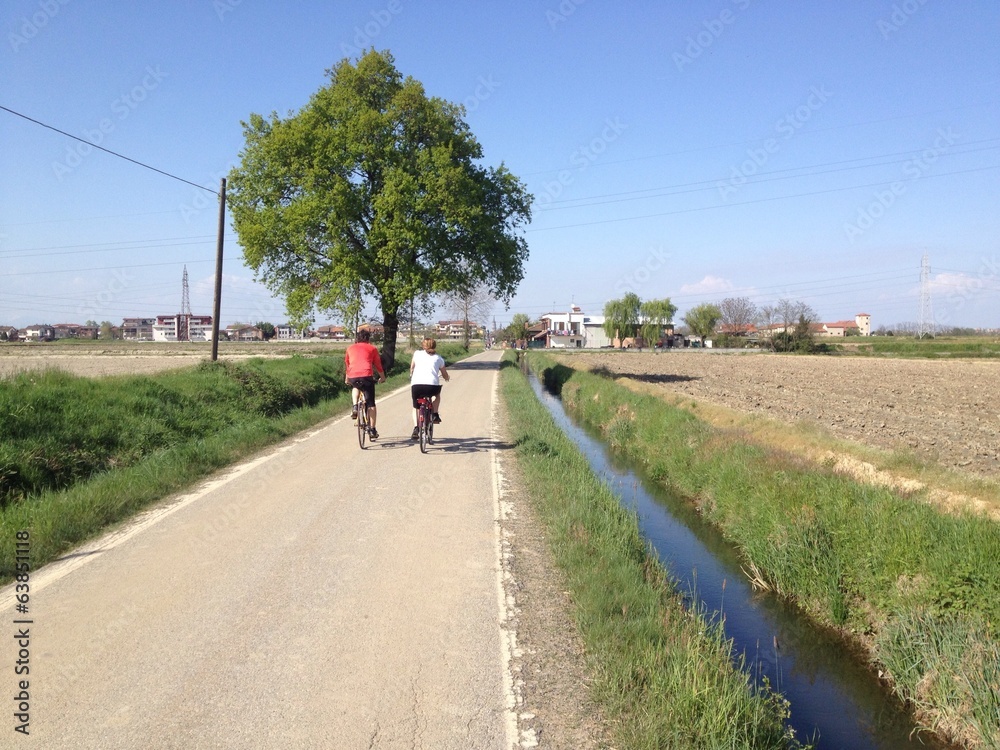 Strada di campagna