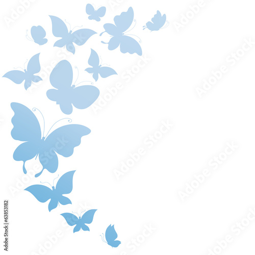 butterflies design