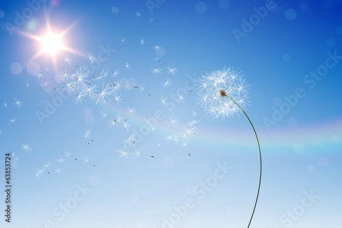 Fototapeta Naklejka Na Ścianę i Meble -  Digitally generated dandelions against blue sky