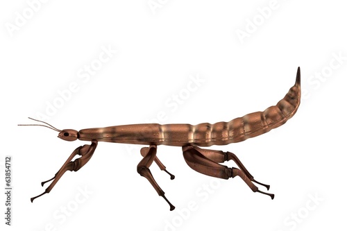 realistic 3d render of spectre insect