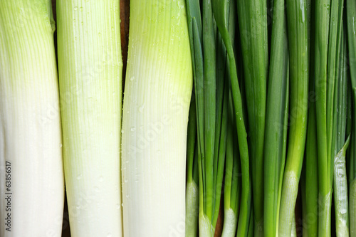 Green onion, close up