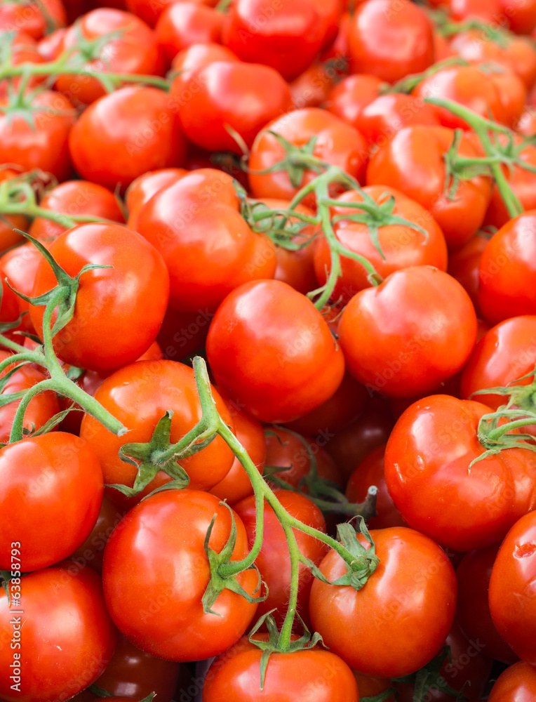 Lots of ripe red tomatoes piled