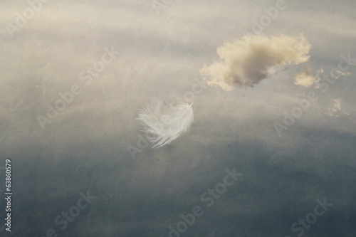 Fototapeta Naklejka Na Ścianę i Meble -  feather flying in the sky, ease, easiness