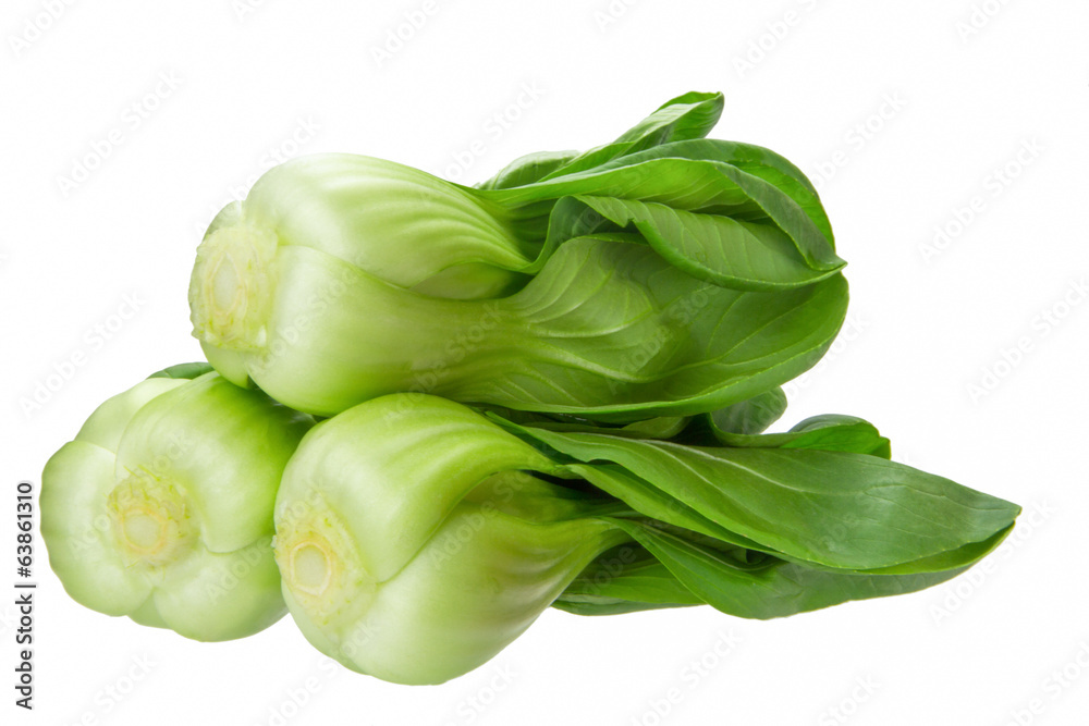 baby bokchoi baby bokchoi