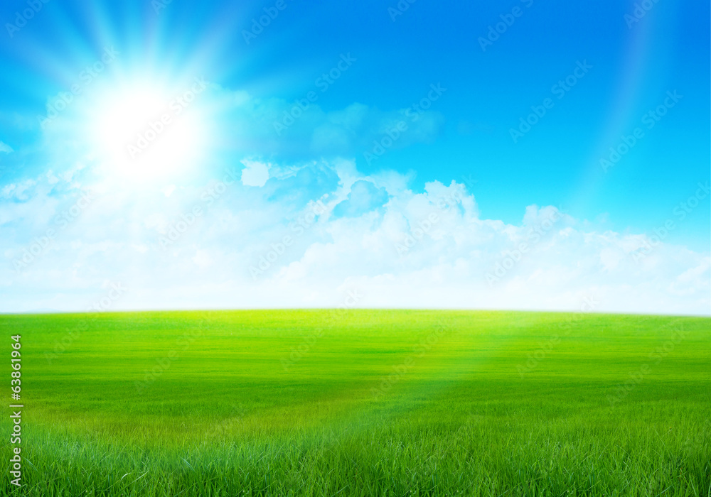 Sunny field