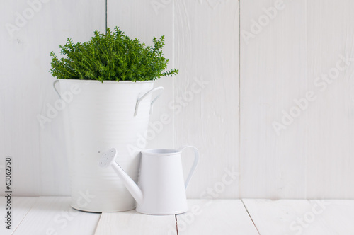 plant in a metal pot and watering can