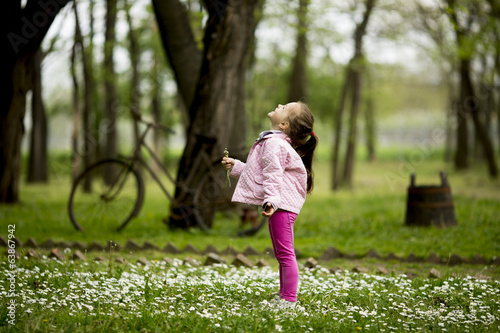 Little girl in the spring field