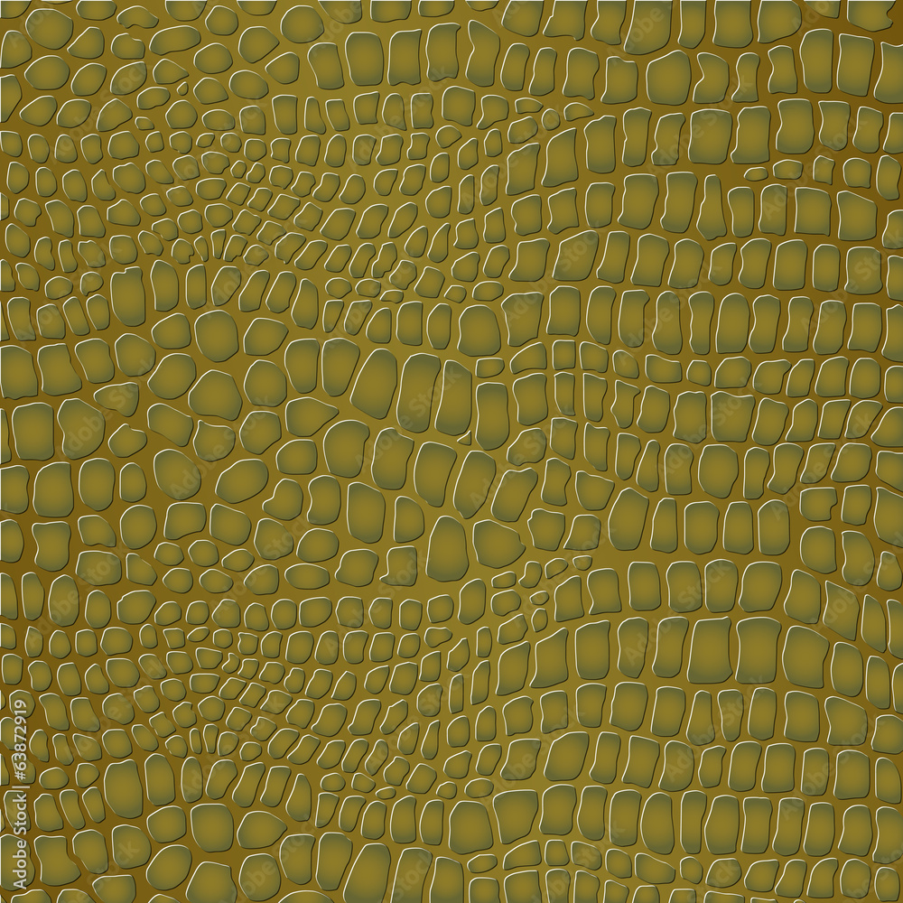 Fototapeta premium Crocodile skin