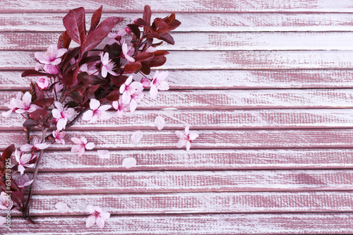 Blooming tree branch with pink flowers on wooden background