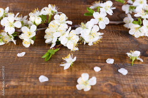 Blooming tree branch with white flowers on wooden background