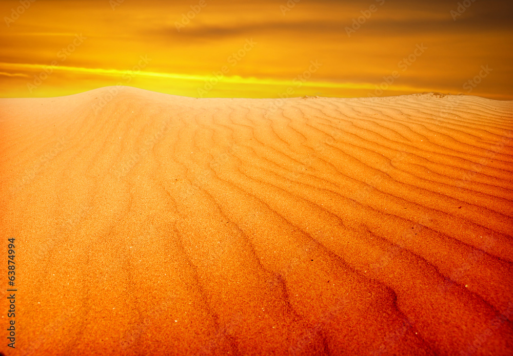 Fototapeta premium Sand dunes at sunset in the Sahara Desert
