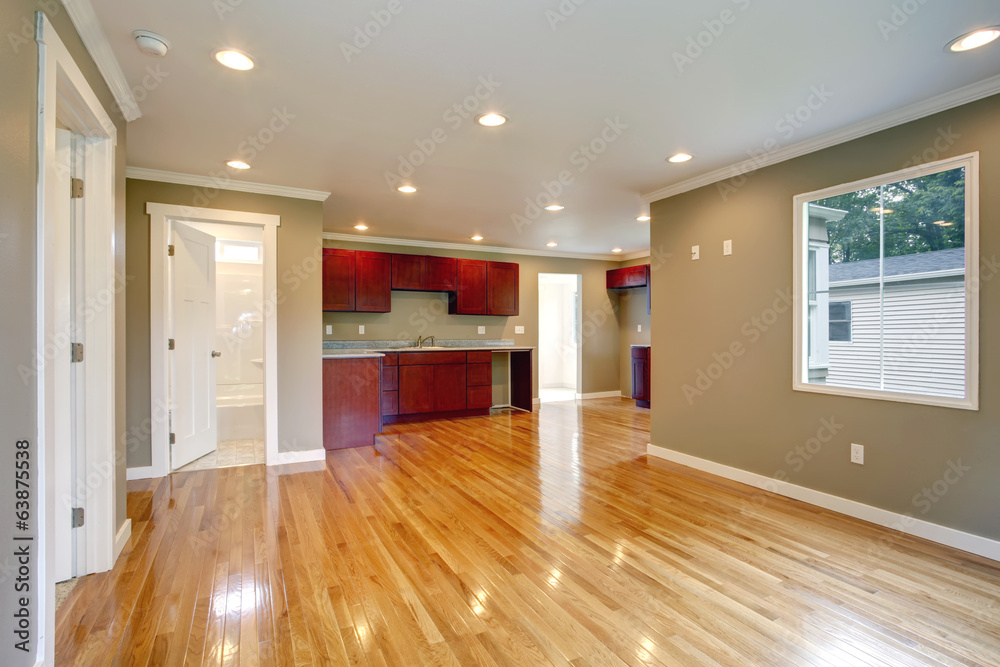 NEwly remodeled kitchen and living room. NEwly remodeled kitchen and living room.