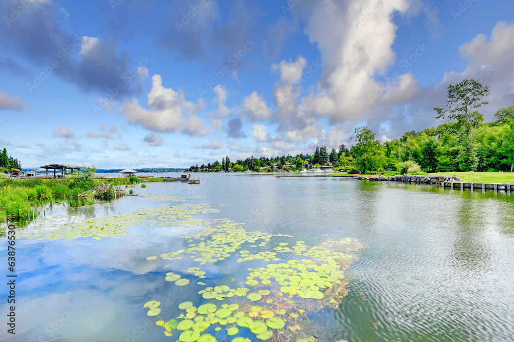 Fototapeta premium Lake view from private dock