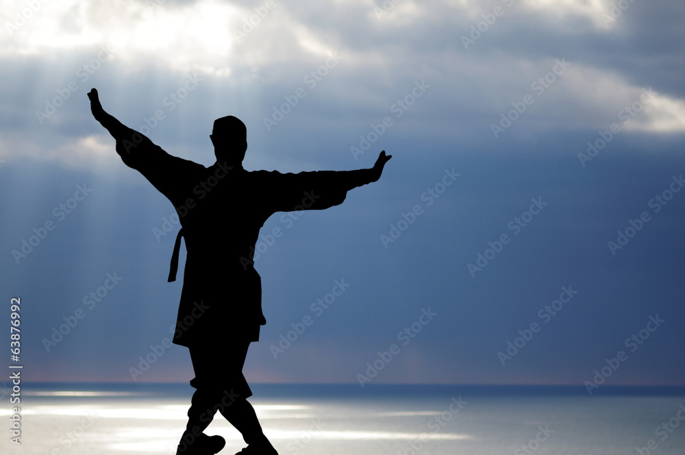 Silhouette of a man engaged in gymnastics Chinese Wushu