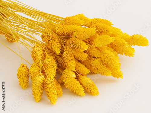 Close-up on the dried phalaris grass. (dyed in golden hue) photo