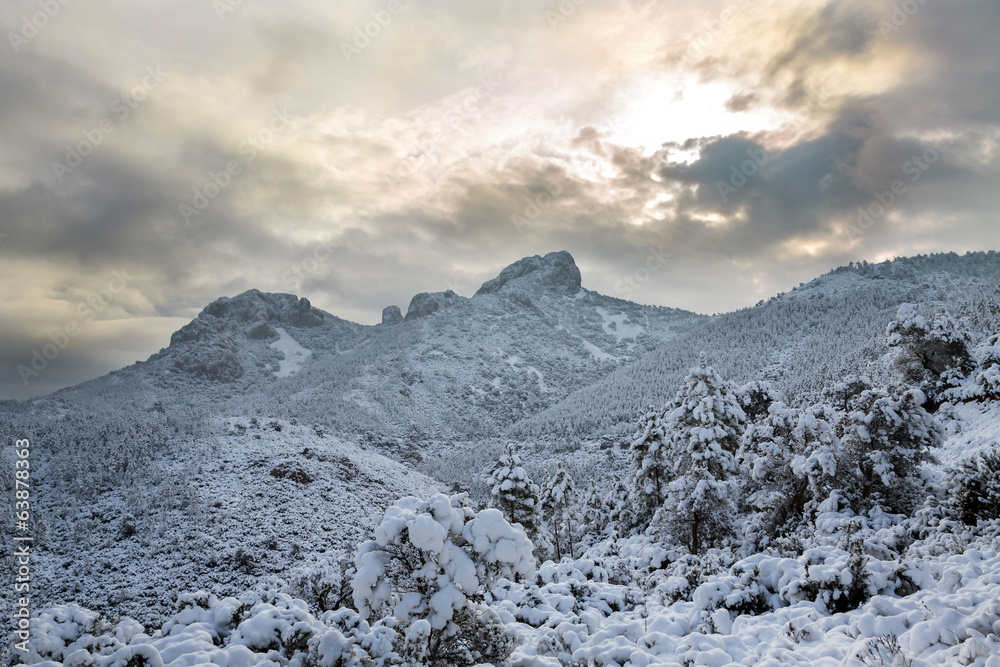Esterel mountains under snow,  Var department, France