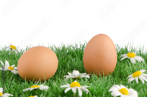 Two eggs with artificial grass