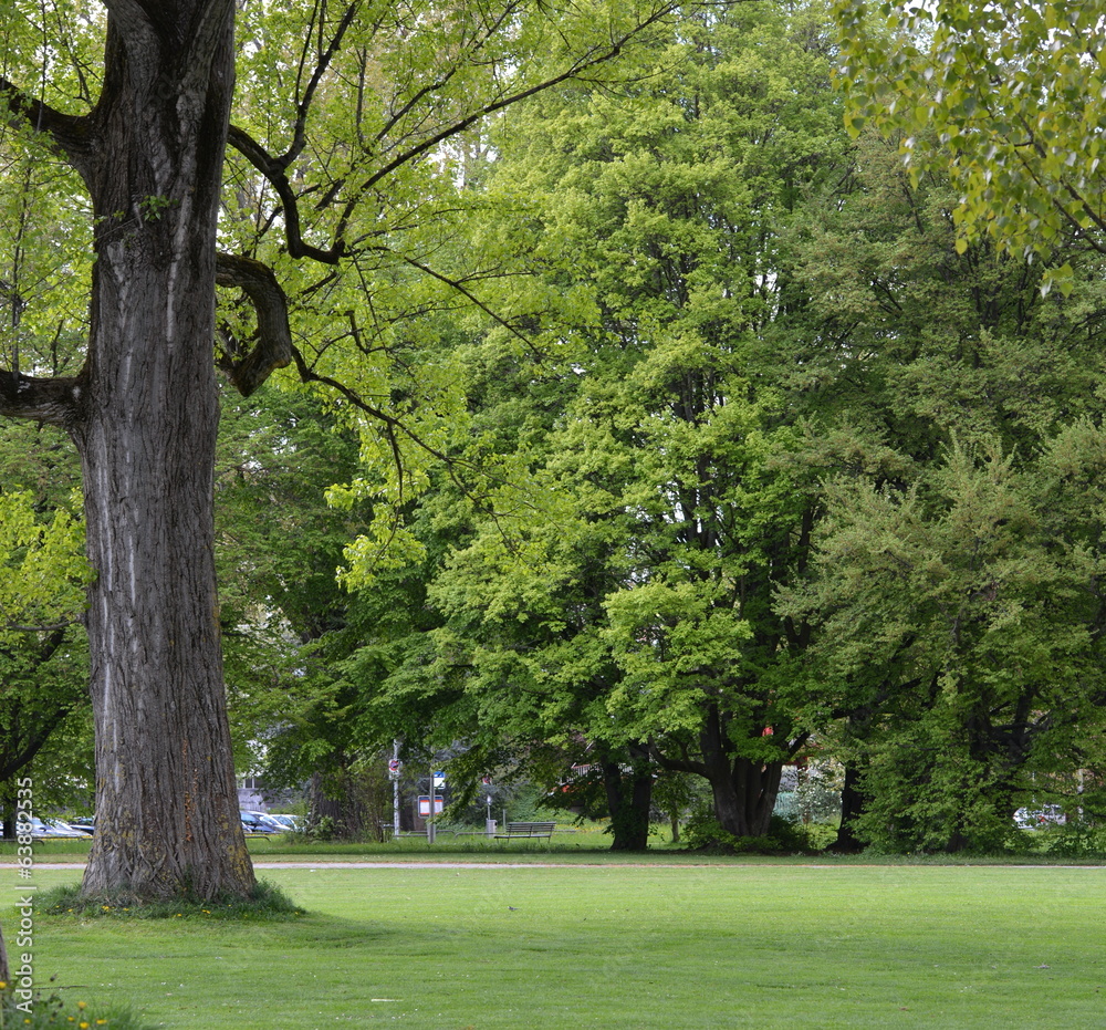 jardin public jardin public