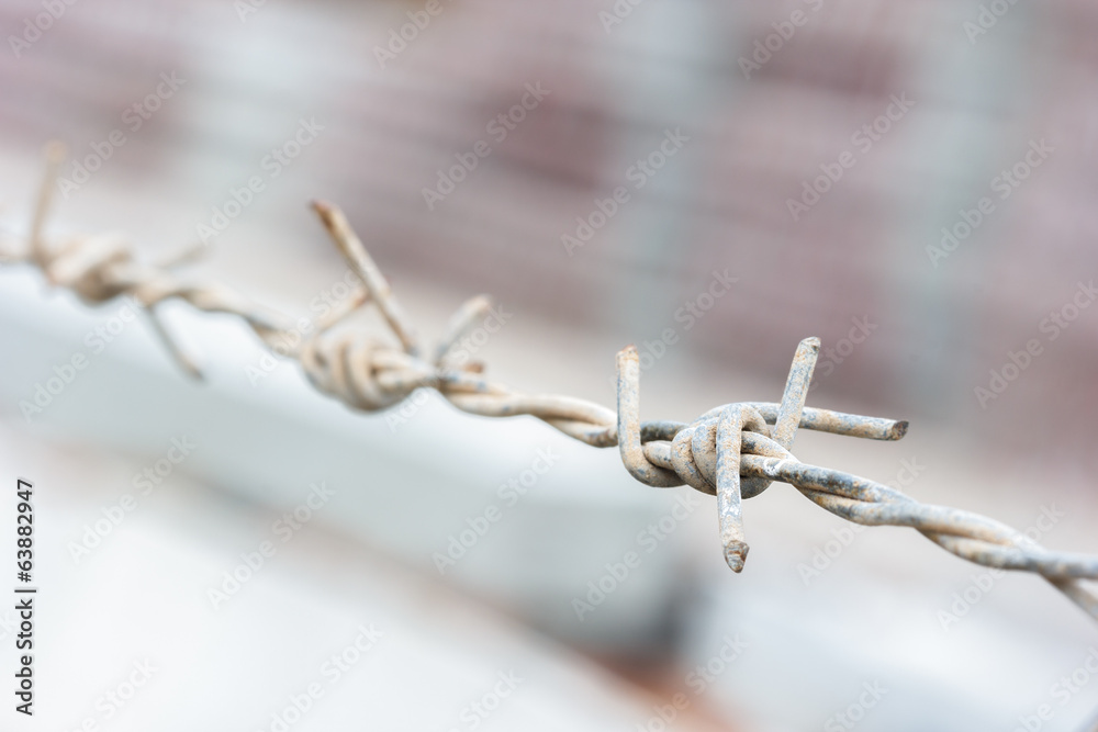 closeup barbed wire fence ,select focus. closeup barbed wire fence ,select focus.