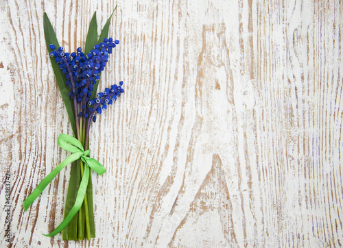 Grape hyacinth