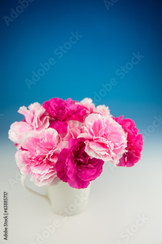 カーネーション