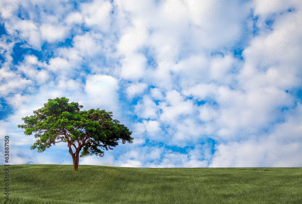 Obraz premium Background image of lush grass field