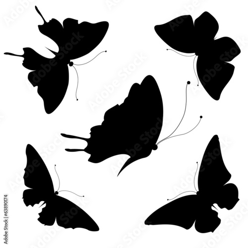 butterflies design
