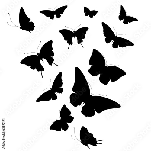 butterflies design