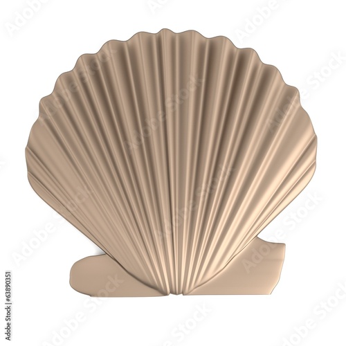 realistic 3d render of shell