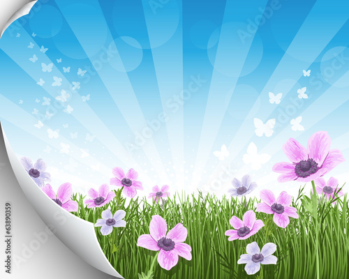 floral banner photo