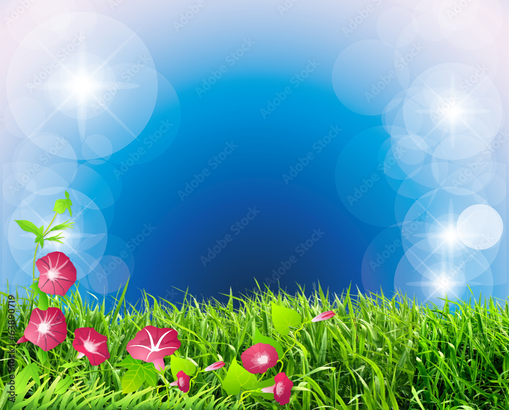 Fototapeta premium Время года. Лето