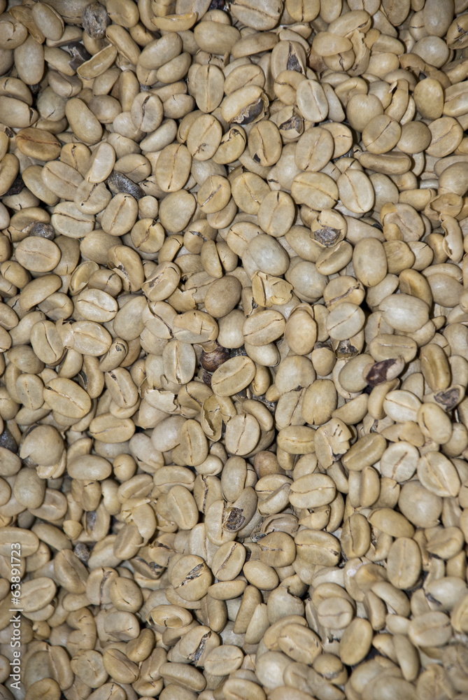 Green Coffee Beans - Nutrient Value And Antioxidant Content Green Coffee Beans - Nutrient Value And Antioxidant Content
